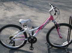 Trek MT220