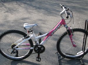 Trek MT220