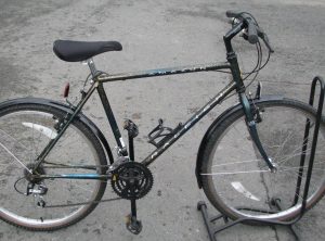 Raleigh Amazon