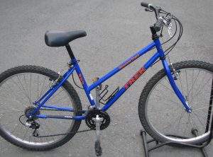Trek Mountain Trek 800