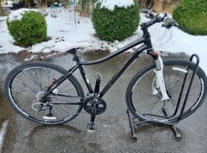 Trek Neco SL