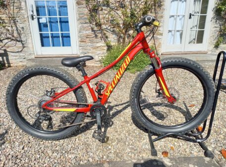 Specialized Riprock 24
