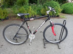 Saracen NZyme