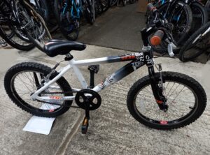 Raleigh Zero G