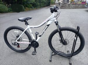 Mongoose Boundary 1