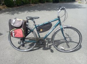 Raleigh Pioneer Metro LX